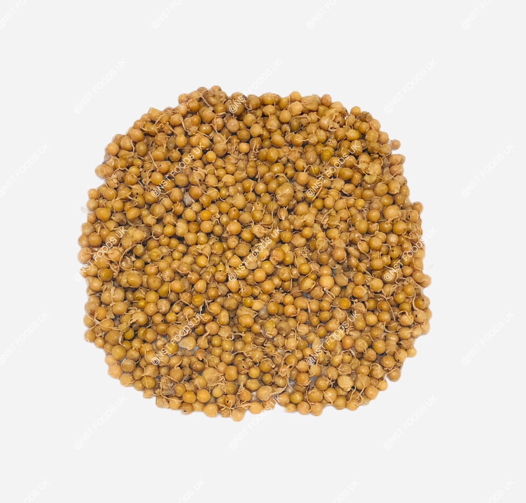 nst-200g-nst-foods